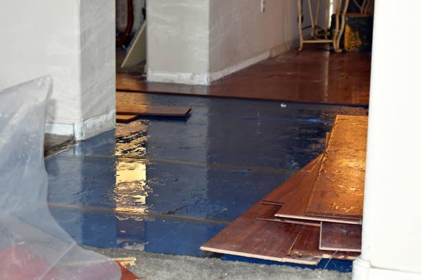Professional Burst Pipe Cleanup technician working in Urbana, IL