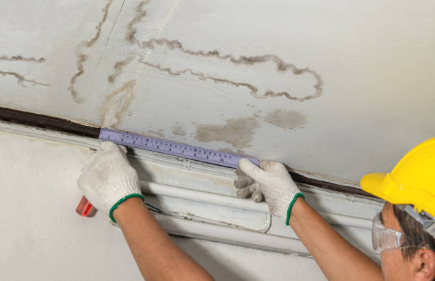 Reliable Burst Pipe Cleanup contractor in Urbana, IL by Water Damage Irwin